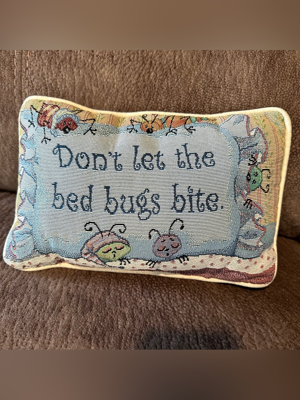 Vintage 90s Two-Sided “Goodnight, Don’t Let the Bed Bugs Bite” Tapestry Pillow